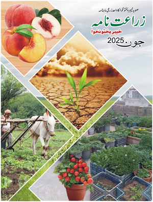 Zarat Nama June 2025